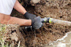 Septic Tank Draining