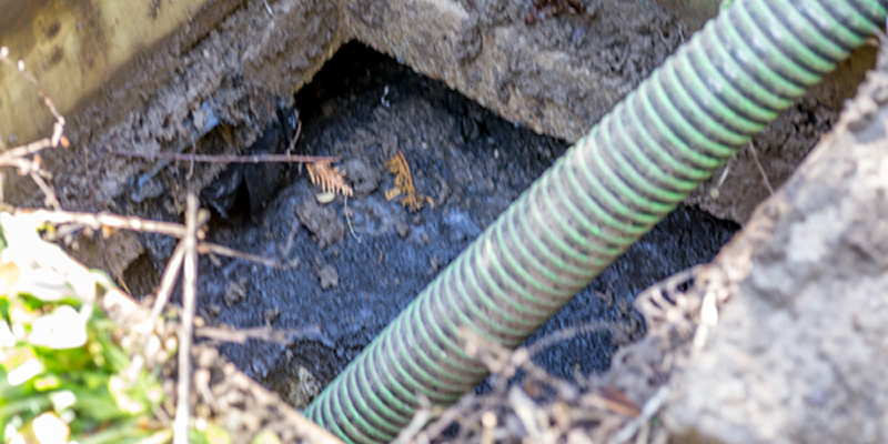 Septic Services in Greenville, South Carolina