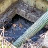 Septic Pump-Outs in Simpsonville, South Carolina