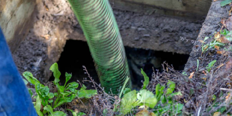 Septic Tank Problems in Greenville, South Carolina