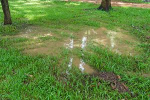 Common Septic Tank Problems and How to Fix Them
