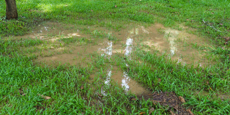 Common Septic Tank Problems and How to Fix Them